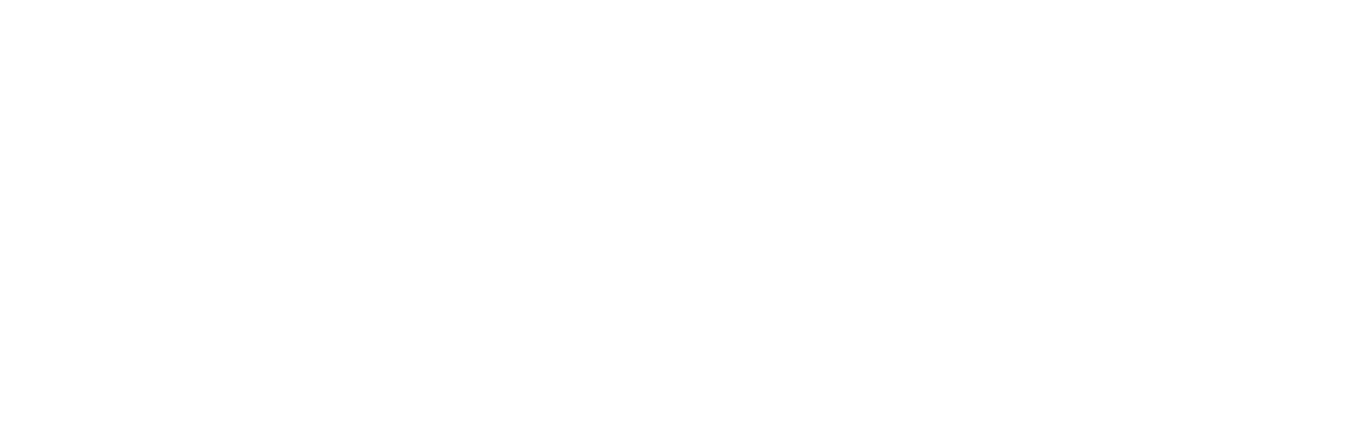 Visit Florida Partner